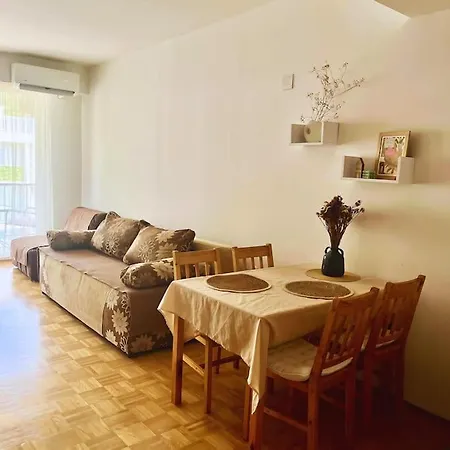 Cozy Nest Apartment